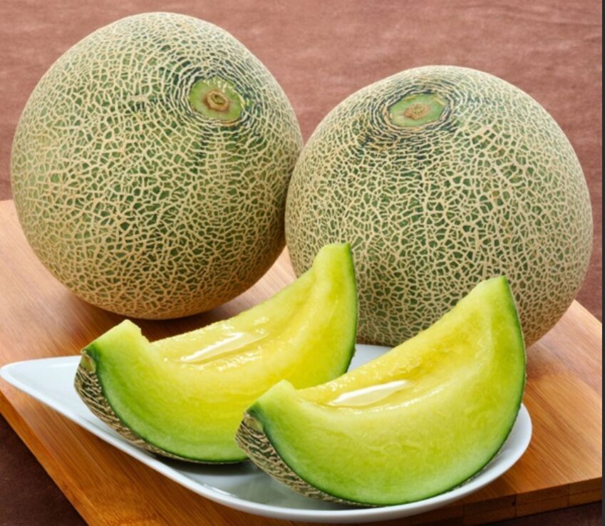 メロンの魅力、再発見！蕩ける甘さの秘密と意外なトリビア